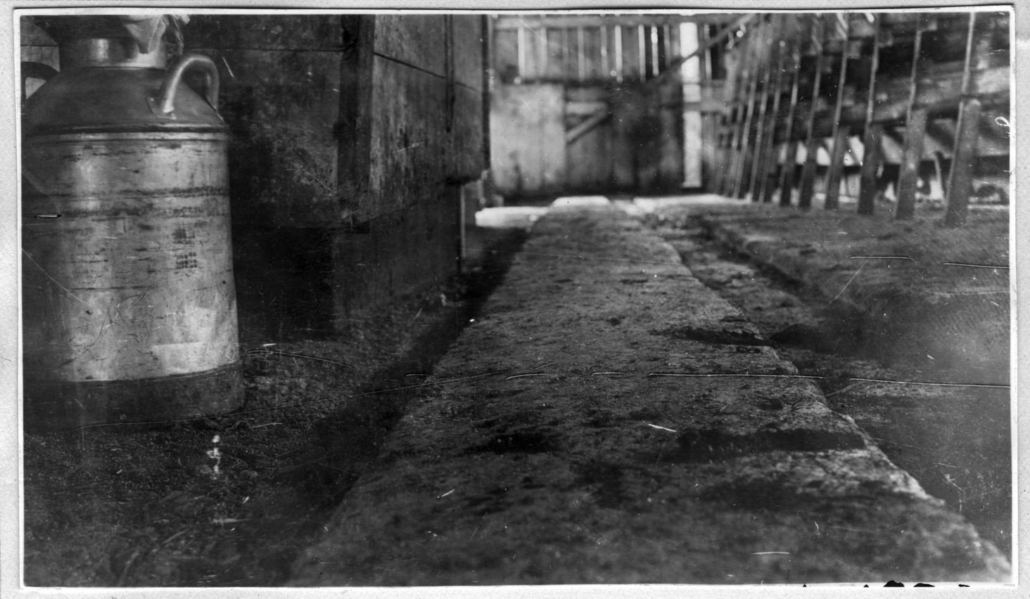 158~C. W. Stewart and Son Milk Strained.jpg